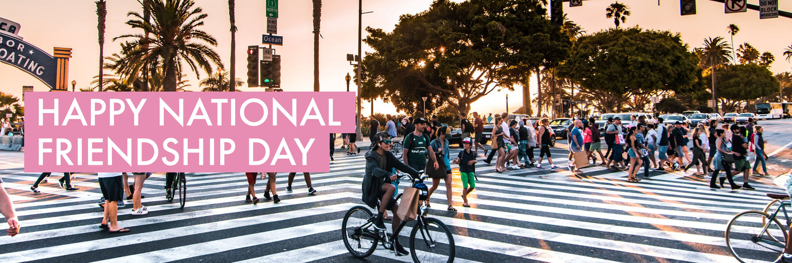 🤝 Happy National Friendship Day To Friends of Zeitbike