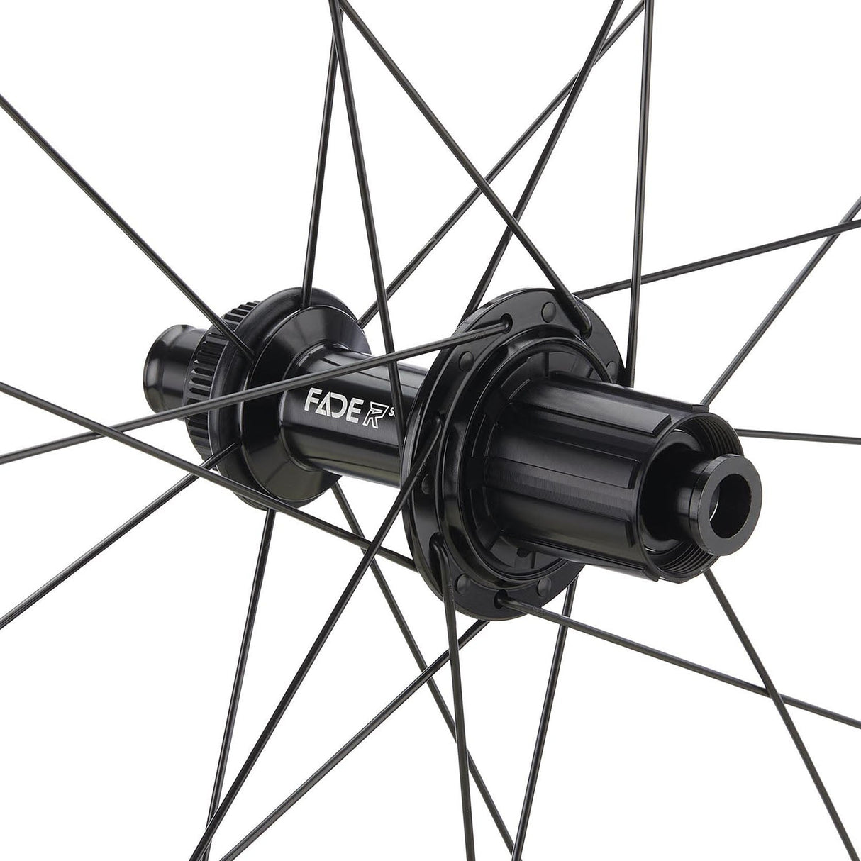 NEWMEN - Wheel (Rear) - Advanced A.50 | Road - [D]