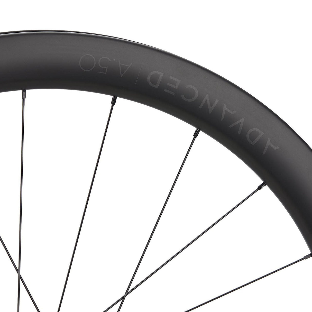 NEWMEN - Wheel (Rear) - Advanced A.50 | Road - [D]