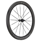 NEWMEN - Wheel (Rear) - STREEM Allround VONOA | Road - [D]