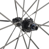 NEWMEN - Wheel (Rear) - Streem C.38 VONOA | Road - [D]